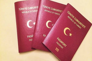 أعداد المستثمرين الأجانب الحاصلين على الجنسية