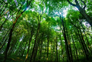 اذا كنت مهتما بالخروج في عطلة نهاية الاسبوع فهذا ا